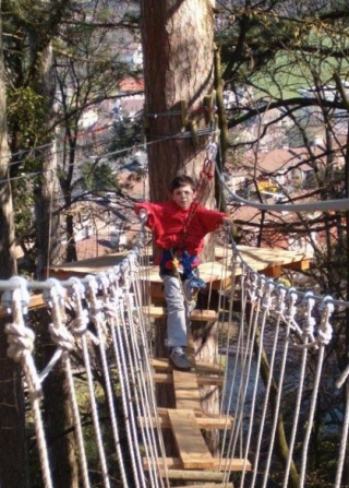  El puenle de los monos 